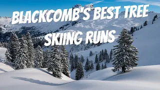 The Best Tree Skiing Runs on Blackcomb | Whistler Blackcomb Ski Guide