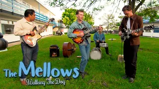 'Walking The Dog' THE MELLOWS (Rockabilly Rave) BOPFLIX sessions