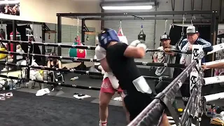 CANELO VS RYAN GARCIA LIGHT SPARRING