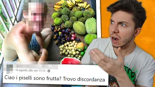 1 MESE Nei GRUPPI dei FRUTTARIANI ( Ancora ) - Sottocopertura | Jematria