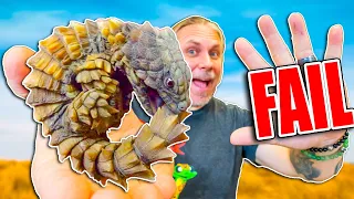 Do I Know 5 Facts About Every Reptile? Let's $ee!