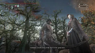 BloodBorne Easter Egg - Small Hair Ornament