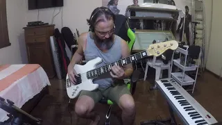 Red Hot Chili Peppers  -  Subway To Venus (Bass Cover)