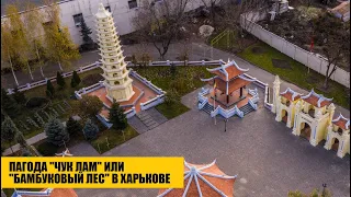 Пагода "Чук Лам" или "Бамбуковый лес" в Харькове
