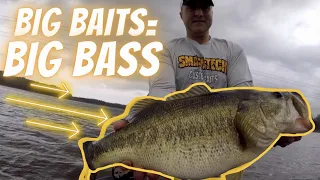 Big Swimbait Bass Fishing Tips: Full Breakdown And Complete Guide To Catch Giant Bass On Big Baits!