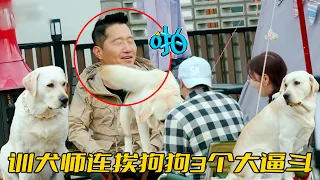 訓犬師連挨3個大逼斗，還被拉布拉多以“腚”相迎，小狗的愛讓人招架不住