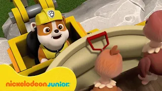 PAW Patrol : La Pat' Patrouille | Les meilleurs sauvetages d'animaux de ferme ! | Nickelodeon Jr.