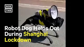 Robot Dog Barks COVID-19 Safety Protocols in Shanghai #Shorts