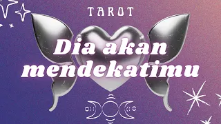 Siapa yang akan deketin kamu ❤️‍🔥 tarot general reading