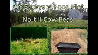 DIY Back Yard No-till Deer Food Plot | Planting Cow Peas for Deer