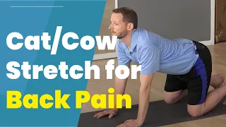 Cat And Cow Stretch - Best Stretch For Your Back Pain