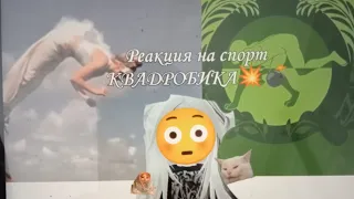 РЕАКЦИЯ НА СПОРТ КВАДРОБИКА🐈🐈‍⬛🐕