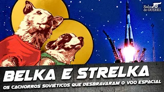 Belka e Strelka: os Cachorros Soviéticos que Desbravaram o Voo Espacial - DOC #57