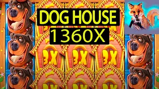 Словили в Доги 1360X , Dog House 1360X , MegaWin to Dog House , Մեգավին dog house-ում, ajarabet
