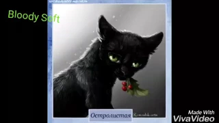 |Остролистая~Hollyleaf|Skillet-Мы не умрём сейчас|