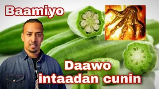 BAAMIYO AMA OKRA HA CUNIN HORTA DAAWO