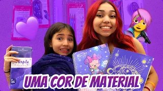 COMPRANDO MATERIAL ESCOLAR DE UMA COR SÓ - ENTÃO ROBERTA FAMILY