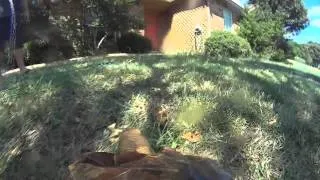 The Tortoise cam