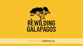 Big Give 2024: Rewilding Galapagos with Stephen Fry