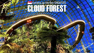 Mysterious Cloud Forest at Gardens by the Bay - Singapore 🇸🇬 - Virtual Tour [4K]