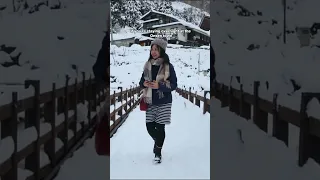 Snow Monkey bathing in Hot Spring♨️