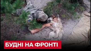 🐶🥰 Нічого милішого ви вже не побачите!