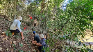 MOMENTO ATERRORIZANTE!!! CARA A CARA COM A ONÇA NA PESCARIA.