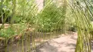 Living Willow Structures by Bonnie Gale