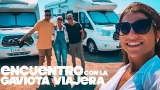 ENCUENTRO // CON LA GAVIOTA VIAJERA | VLOG 155