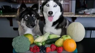 Will My Huskies Eat Their Fruits & Veggies?