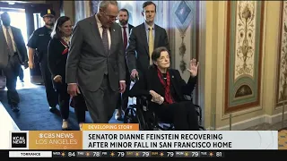 Senator Dianne Feinstein recovering from fall at home
