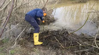 Expedition #9 | Beaver dam removal. Wide one. Slow water flow.