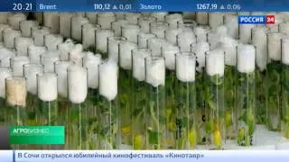 Программа Агробизнес от 1 июня 2014 года