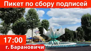 Пикет по сбору подписей в Барановичах за Тихановскую