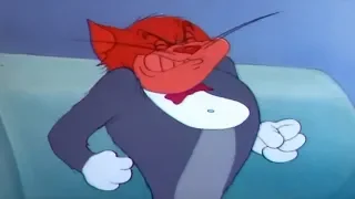 Tom and Jerry Short Episode 14 The Million Dollar Cat
