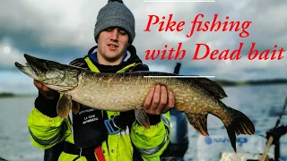 Pike fishing with dead baits, first session of the season