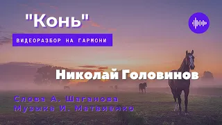 КОНЬ || РАЗБОР НА ГАРМОНИ || НИКОЛАЙ ГОЛОВИНОВ || СЕМЕЙНАЯ МАСТЕРСКАЯ "ВЕКША"