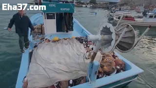 Kastamonu'nun Cide ilçesi açıklarında avlanan balıkçılar, kasalar dolusu palamutla döndü.