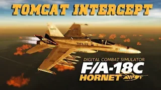 DCS: F/A-18C Hornet Vs Iranian F-14 Tomcat Intercept Over the Persian Gulf