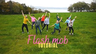 Tutorial - Learn to dance ! (Flash mob)