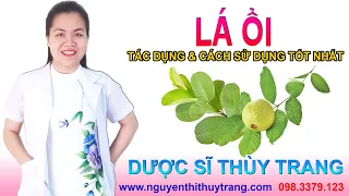 Lá ổi có tác dụng gì? Cẩn thận khi sử dụng #guava @duocsitrangnguyen