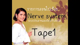 รายการสอนไปเรื่อยรายการเรียนออนไลน์ I เทปที่ 1 - เซลล์ประสาทและการทำงานของเซลล์ประสาท