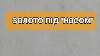 ЗОЛОТО ПІД НОГАМИ, ПРО ЯКЕ МАЛО-ХТО ЗНАЕ, ЗОЛОТО  С ІМПОРТА.