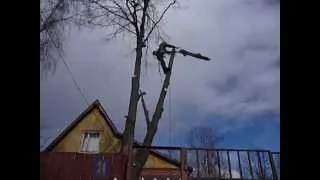 Удаление дерева частями