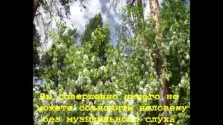 Алан Уотс - Не каждому дано понять