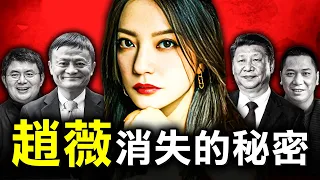 從人氣小燕子到億萬女股神 為何趙薇卻在那一夜神秘消失了？