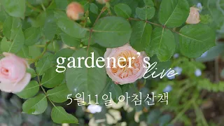 5월의 정원 라이브 Good morning! Garden live tour 5/11