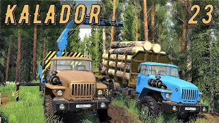 FS 19 - Везу кругляк на Уралах.  Погрузка леса Манипулятором - KALADOR фермер лесоруб # 23