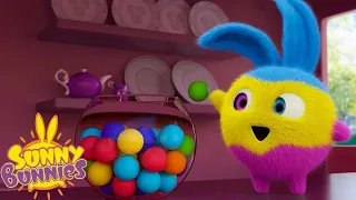 Multicolour Bunnies | Sunny Bunnies | Cartoons for Kids | WildBrain Zoo