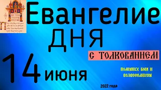 Евангелие дня с толкованием  14 июня  2022 года 90 псалом